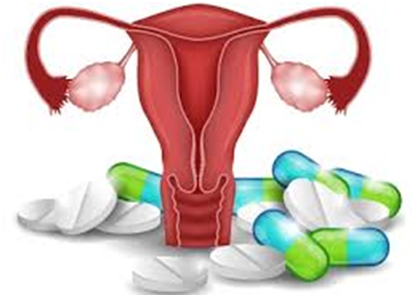 Схема женской репродуктивной системы