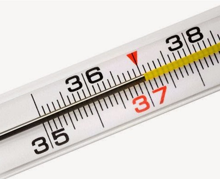 Шкала ртутного термометра