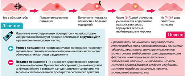 Информация о герпесе